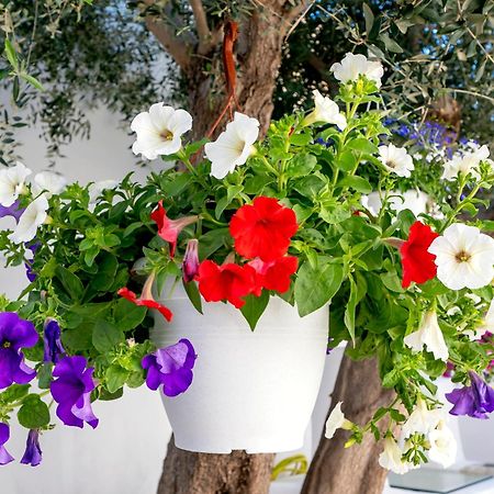 Villa Del Capo Suites Rhodes City المظهر الخارجي الصورة