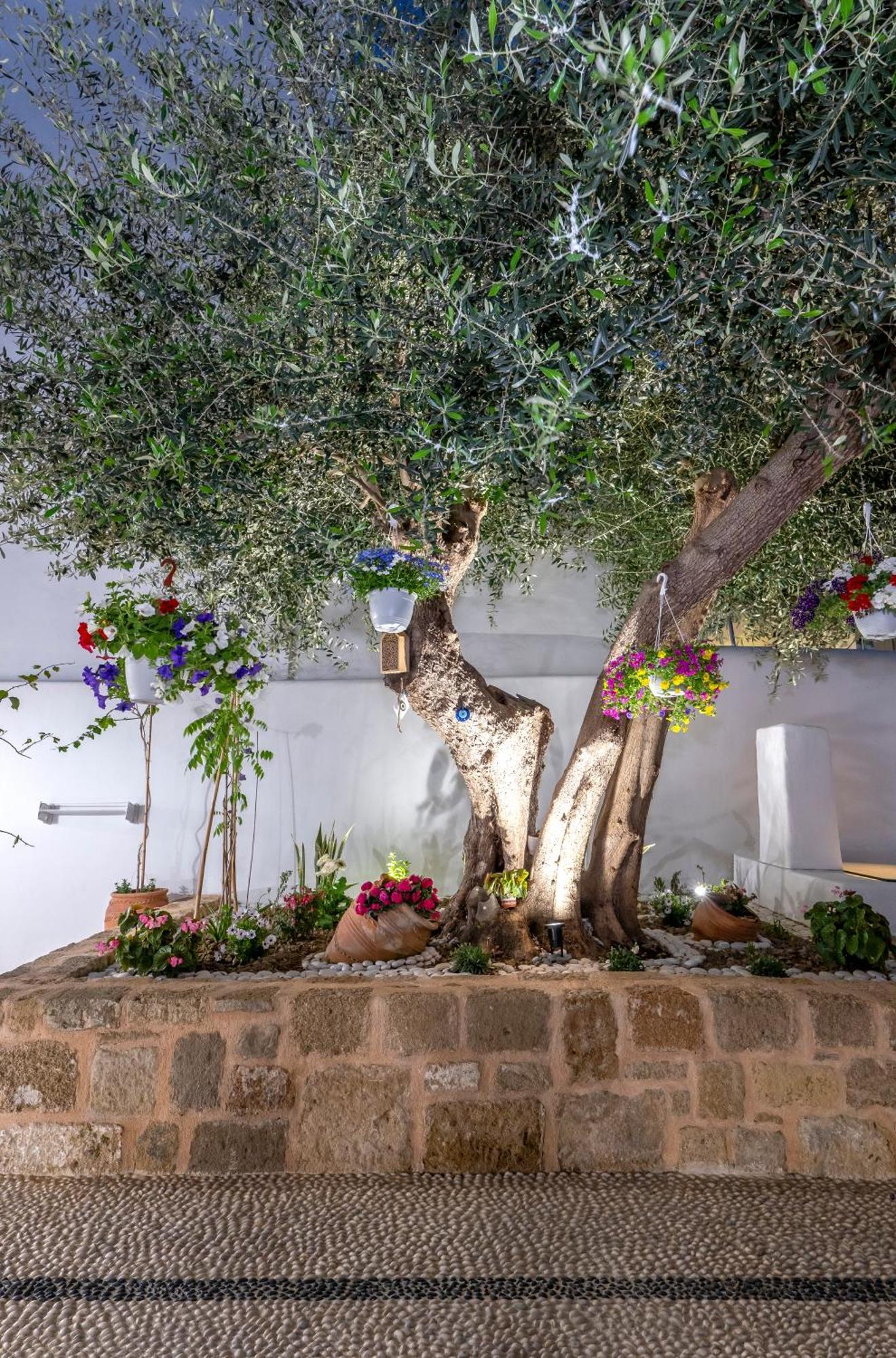 Villa Del Capo Suites Rhodes City المظهر الخارجي الصورة