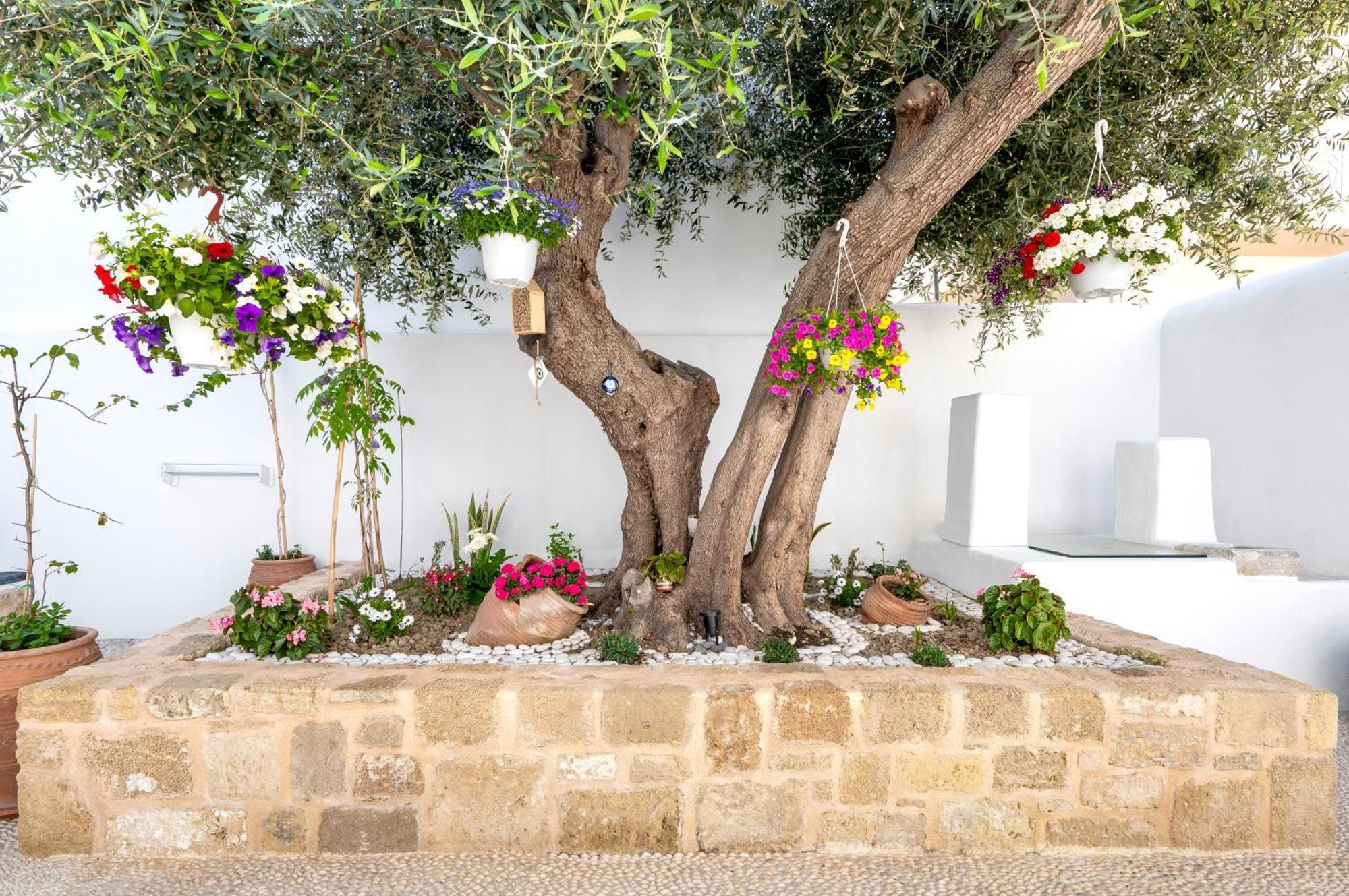 Villa Del Capo Suites Rhodes City المظهر الخارجي الصورة